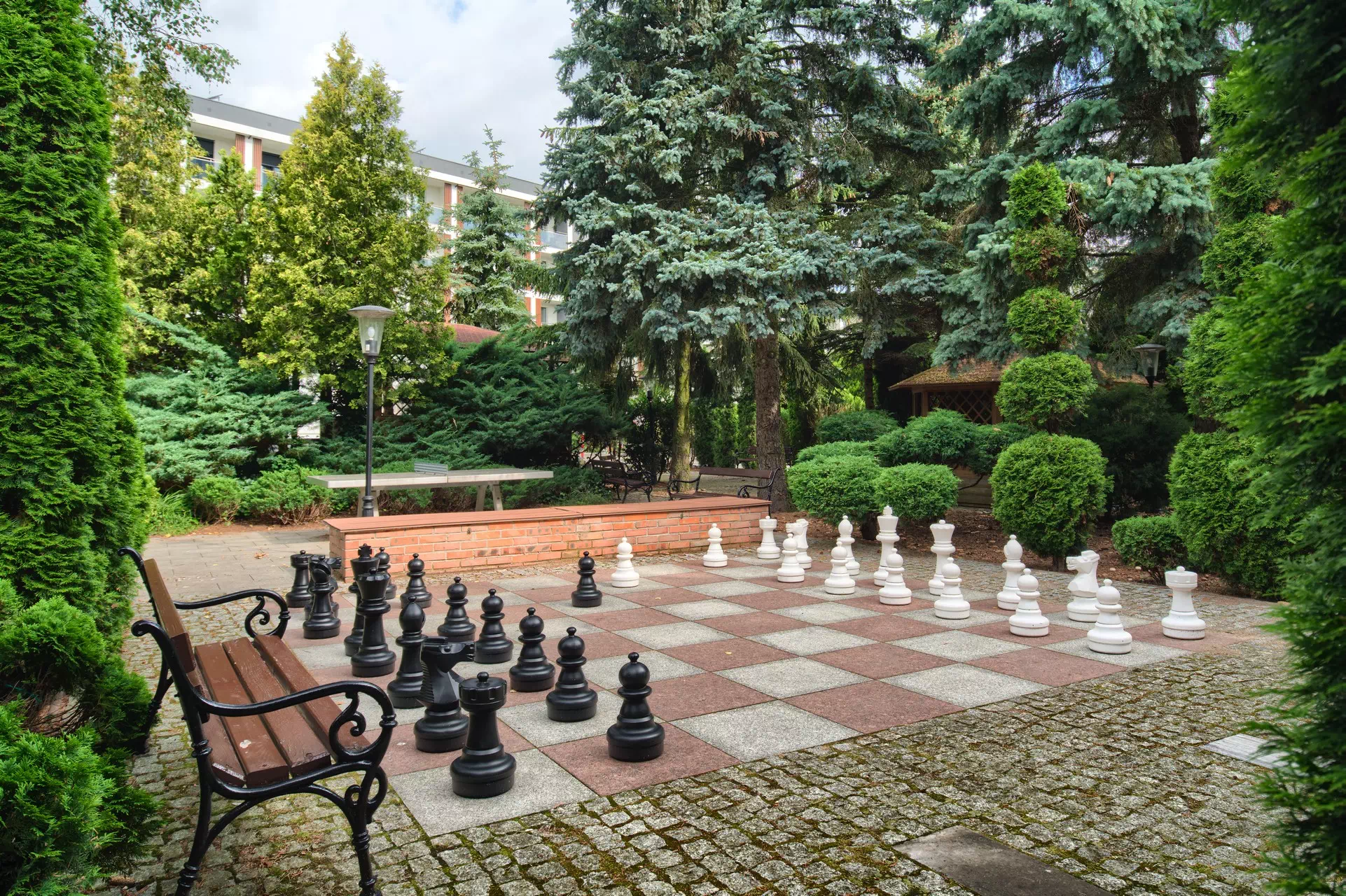 Galeria główna 4